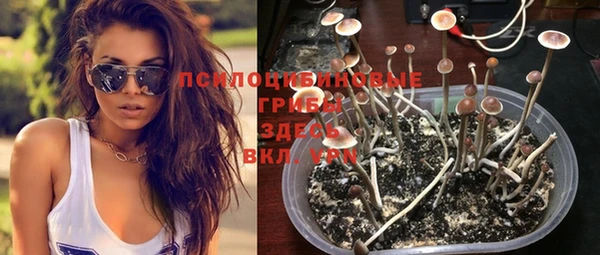 МДМА Белокуриха